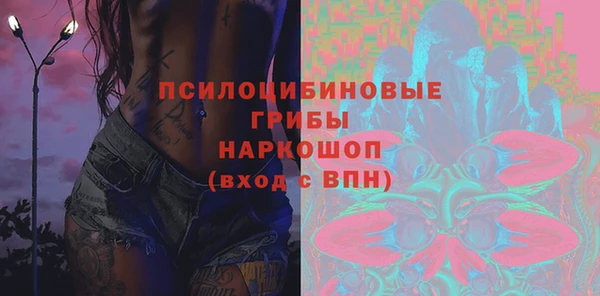 гашик Алексеевка