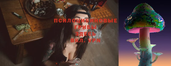 гашик Алексеевка