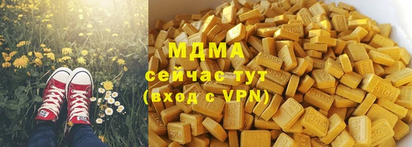 гашик Алексеевка