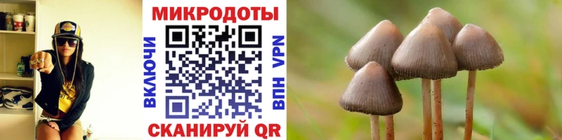 где можно купить   KRAKEN зеркало  Галлюциногенные грибы Magic Shrooms  площадка наркотические препараты  Красноярск 